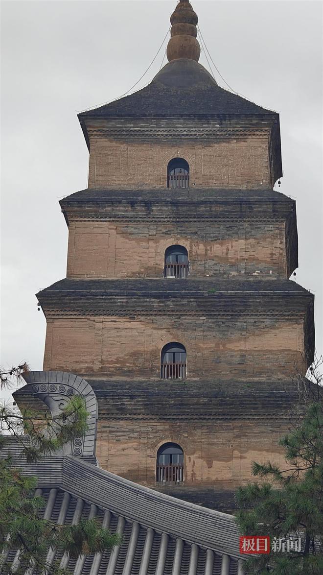 菇大雁塔受潮城墙布满青苔气象局解释成因j9国际西安连续一个多月降雨遍地长蘑(图5)