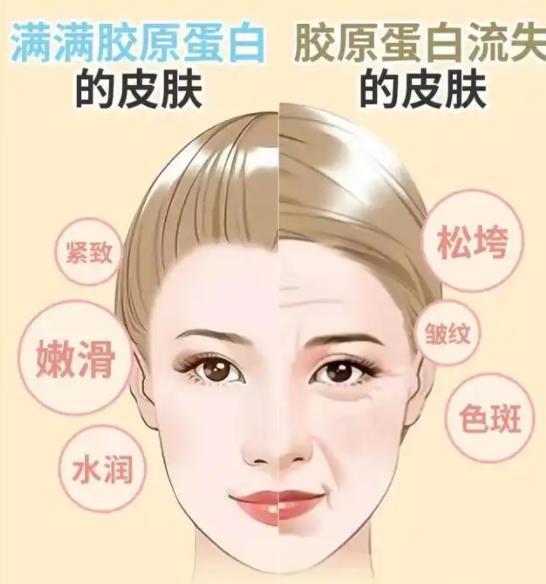 最值得尝试的10大胶原蛋白肽品牌第四代工艺夺魁九游会·j9网站胶原蛋白肽多大分子量的好吸收？(图5)